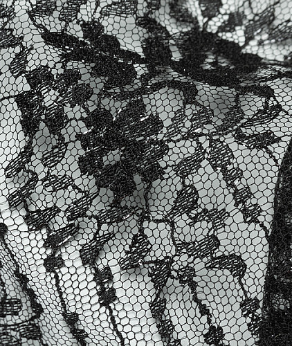Кружево тип Solstiss, цвет - черный и серебро. Изображение 5