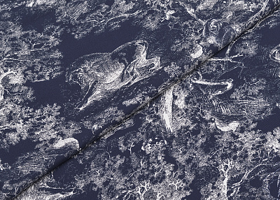 Фото ткани Натуральный шелк тип Dior с принтом Туаль-де-Жуи, цвет - синий