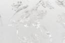 Шелковая органза с люрексом, цвет - серебро, молочный, цветы. Постер для видео